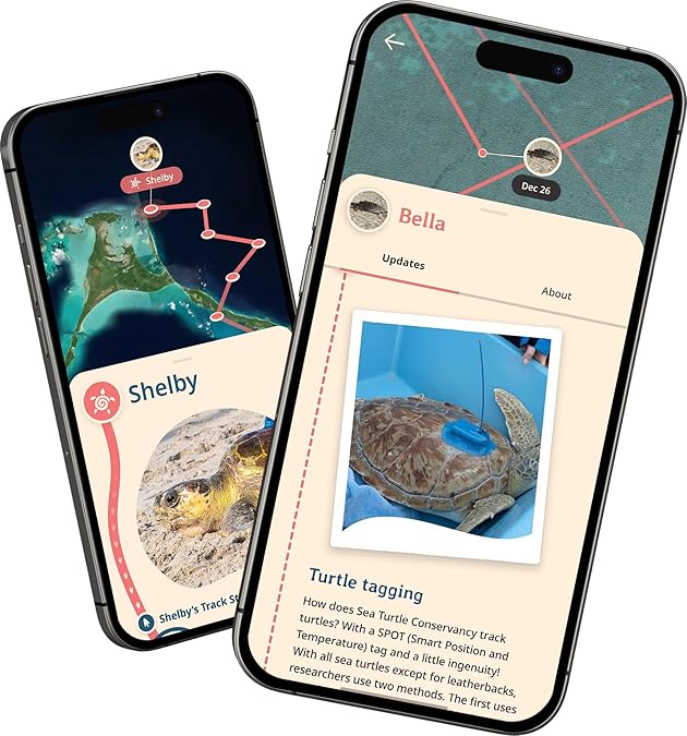 WildJourney™ Turtle Tracking Bracelet