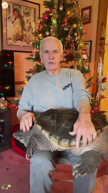 🐢 Support the Gemma and Franklin Turtle Shelter